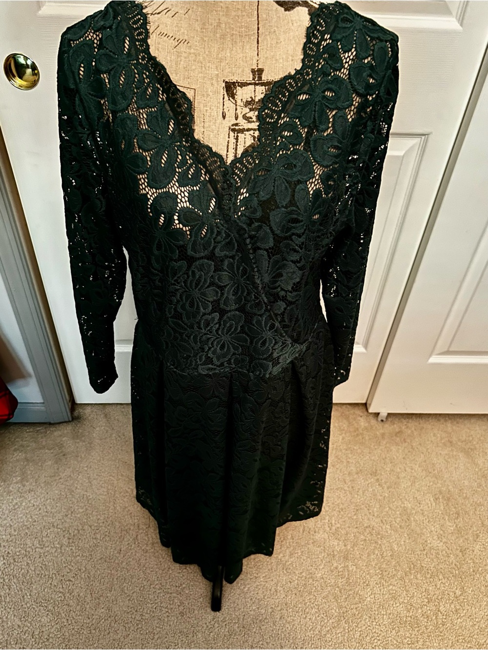 Floral Lace V-Neck Long Sleeve Dress in Forest Green